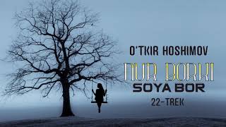 Audio kitob  Nur borki soya bor 22trek  Otkir Hoshimov [upl. by Rothenberg]