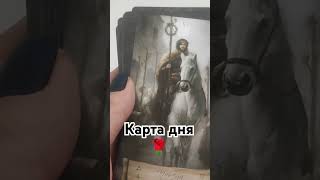 прогноз гаданиеонлайн tarot таро гадание таролог тароонлайн [upl. by Setiram544]