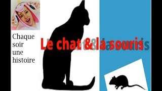 LE CHAT amp LA SOURISconte audioanimaux chat souris [upl. by Grossman]