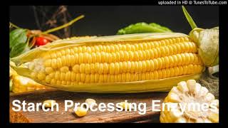 Starch Processing Enzymes Suppliers Glucoamylase Thermostable α–Amylase [upl. by Yelkreb445]