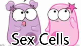 I edited The Amoeba Sisters [upl. by Carlita]