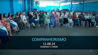 11082024  Companheirismo [upl. by Cirre]