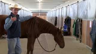 Lateral flexion problems in the snaffle [upl. by Dremann]