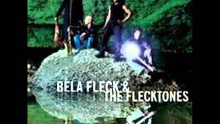 03  Rococo  Béla Fleck And The Flecktones [upl. by Bonnice]