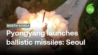 North Korea launches multiple shortrange ballistic missiles Seoul  Radio Free Asia RFA [upl. by Gimpel]