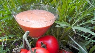 TomatenSmoothie Rezept  leichte Sommerküche  Der Bio Koch 646 [upl. by Jerol711]