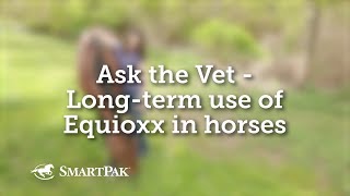 Ask the Vet  Longterm use of Equioxx in horses [upl. by Weslee]