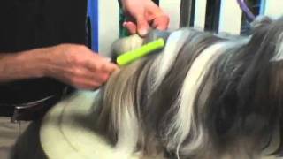 Grooming Tips From FURminator  Petco Grooming [upl. by Ahsila]