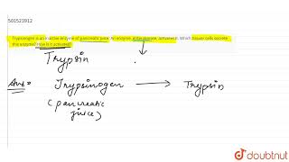 Trypsinogen is an inactive enzyme of pancreatic juice An enzyme enterokinase activates it Wh [upl. by Eladal318]