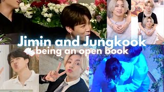 Jimin and Jungkook being an open book [upl. by Elag985]