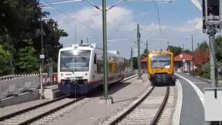 SWEG mit ODEGTriebwagen auf der Münstertalbahn in Staufen [upl. by Volding665]