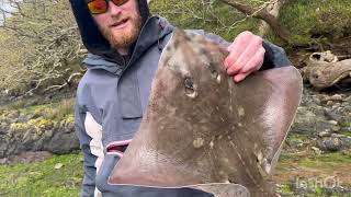 A couple of hours fishing up the cleddau river [upl. by Verdie]