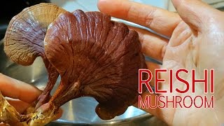 How To Make Reishi Mushroom Tea Ling Chi Ling Zhi [upl. by Wollis]