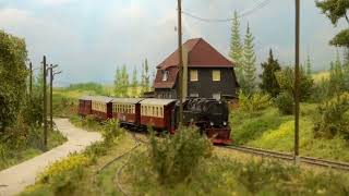 MODELSPOOR EXPO MTD TREINENCLUB EDEGEM 2024  Part 3 [upl. by Yelbmik569]