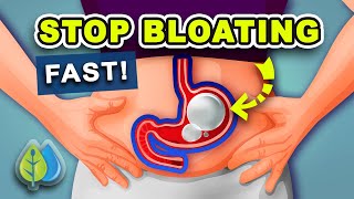 5 Ways to STOP Bloating Fast  How to Get Rid of Belly Bloating Fast [upl. by Milla]