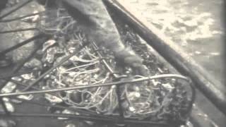 Skipjack Oyster Dredging and processing 1956 [upl. by Duester]