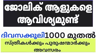 2024 Kerala Job vacancylatest job vacancy in keralakerala job vacancy todayjob vacancy 2024 job [upl. by Eilah512]