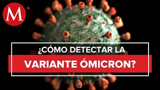 ¿Pruebas en antígeno detectan ómicron Entrevista con viróloga de la UNAM [upl. by Katsuyama745]