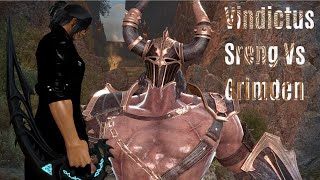 Vindictus Grimden Sreng solo after buff [upl. by Heger633]