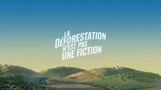 La déforestation nest pas une fiction [upl. by Neik]