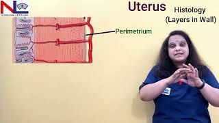 Uterus  Female internal genital organ  Nursing Lecture [upl. by Reyem]