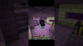 We got our first elytra in our smp minecraft gamerfleet smp anshubisht [upl. by Aleunam]