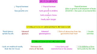 Effect of thyroid hormone on metabolic functions weight amp growth chapter 77 part 6 Guyton amp Hall [upl. by Jadda82]