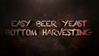 Easy beer yeast bottom harvesting [upl. by Siulesoj826]