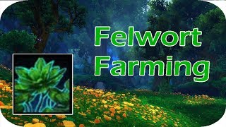 Where to Get Felwort WoW [upl. by Ataynek]