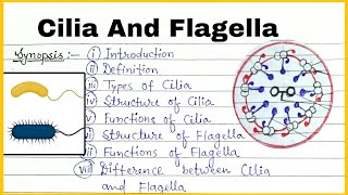 Cilia And flagella  Structure and function of Cilia And flagella Full Details for msc [upl. by Kerek]