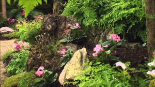 Documentary about the Royal Greenhouses of Laeken part 2 [upl. by Marietta]