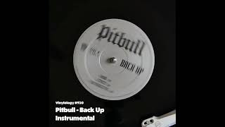 Pitbull  Back Up Instrumental [upl. by Madoc]