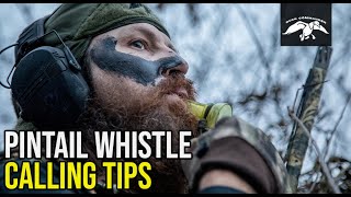 Pintail Whistle  Duck Calling Tips [upl. by Arerrac]