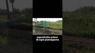 Perchè faccio la BAULATURA  GUARDA IL VIDEO COMPLETO shorts [upl. by Annoid950]