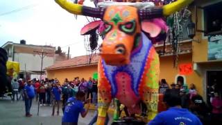 Desfile de toros Pirotecnicos [upl. by Laaspere]