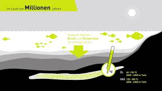 Entstehung von Erdöl und Erdgas [upl. by Nitneuq]