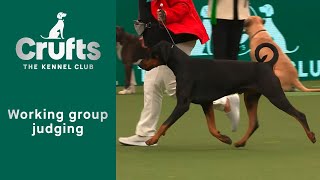 Group Judging Working and Presentation Best In Show at Crufts 2023 [upl. by Latt]