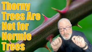 Thorny Trees Are Not for Normie Trees [upl. by Nilre]