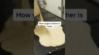 How Vegan Leather Is Made From Mangoes [upl. by Heigl]