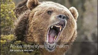 Some Wild Animals in Squamish Language [upl. by Puttergill]