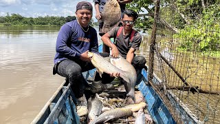 10 HARI BERBURU IKAN amp TANAMAN LIAR DI ALAM KALIMANTAN HASILNYA MELIMPAH😅 bocahpecicilan KOOKIKO [upl. by Rubie]