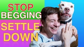 How to Teach your Dog to STOP BEGGING amp SETTLE DOWN Right now [upl. by Carin]