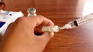 How to use ceftriaxone injection ۔Ceftriaxone sodium injection uses Ceftriaxone [upl. by Elhsa291]