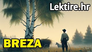 Breza lektira kratak sadržaj  Lektirehr [upl. by Sailesh]