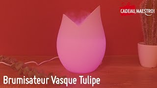 Brumisateur Vasque Tulipe  Cadeau Maestro [upl. by Ahker]