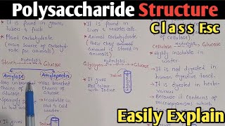 Polysaccharide Structure And Classification  Starch  Glycogen  Cellulose  Class 11 UrduHindi [upl. by Auohc984]