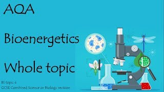 The whole AQA BIOENERGETICS 91 GCSE Biology or combined science for paper 1 [upl. by Otsenre71]