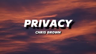 CHRIS BROWN  PRIVACY  LYRICS [upl. by Bunni]