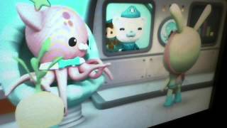 octonauts and the giant jelly [upl. by Nerw401]