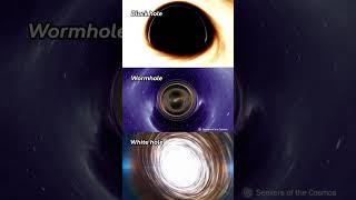 The Holes of the Universe Black Hole vs Wormhole vs White Hole [upl. by Suzette]